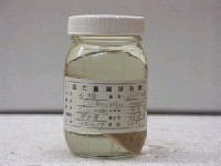 藏品(金(魚翁))的圖片